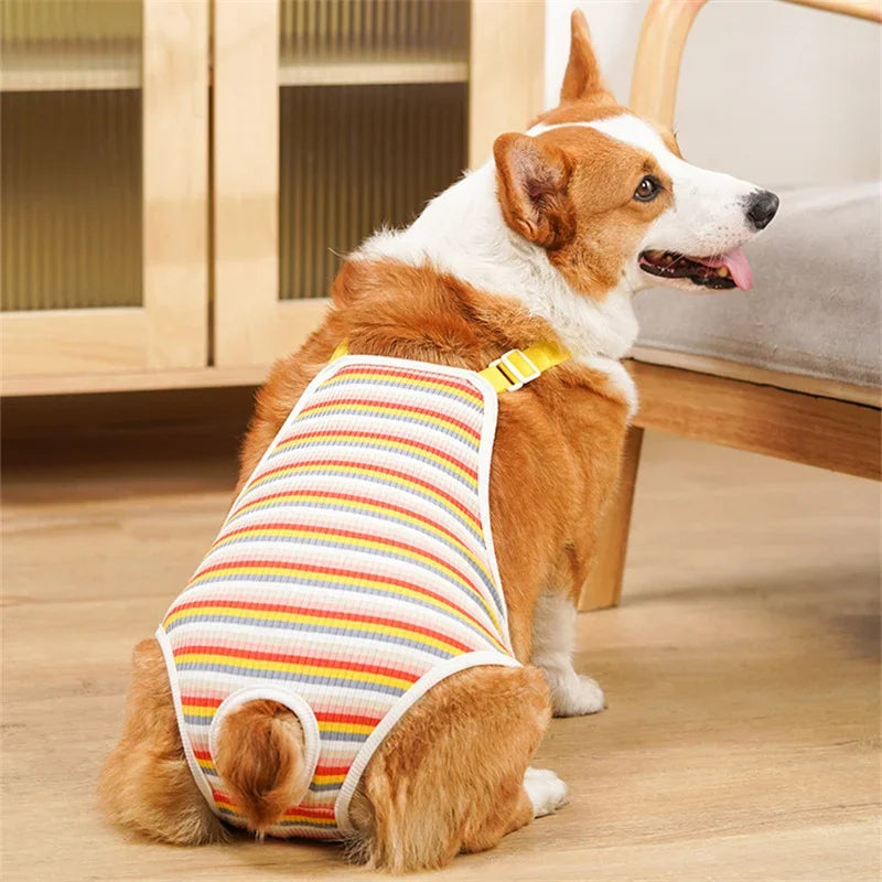 Adjustable Female Dog Physiological Pants – Washable Underwear Shorts for French Bulldogs & Small Breeds
