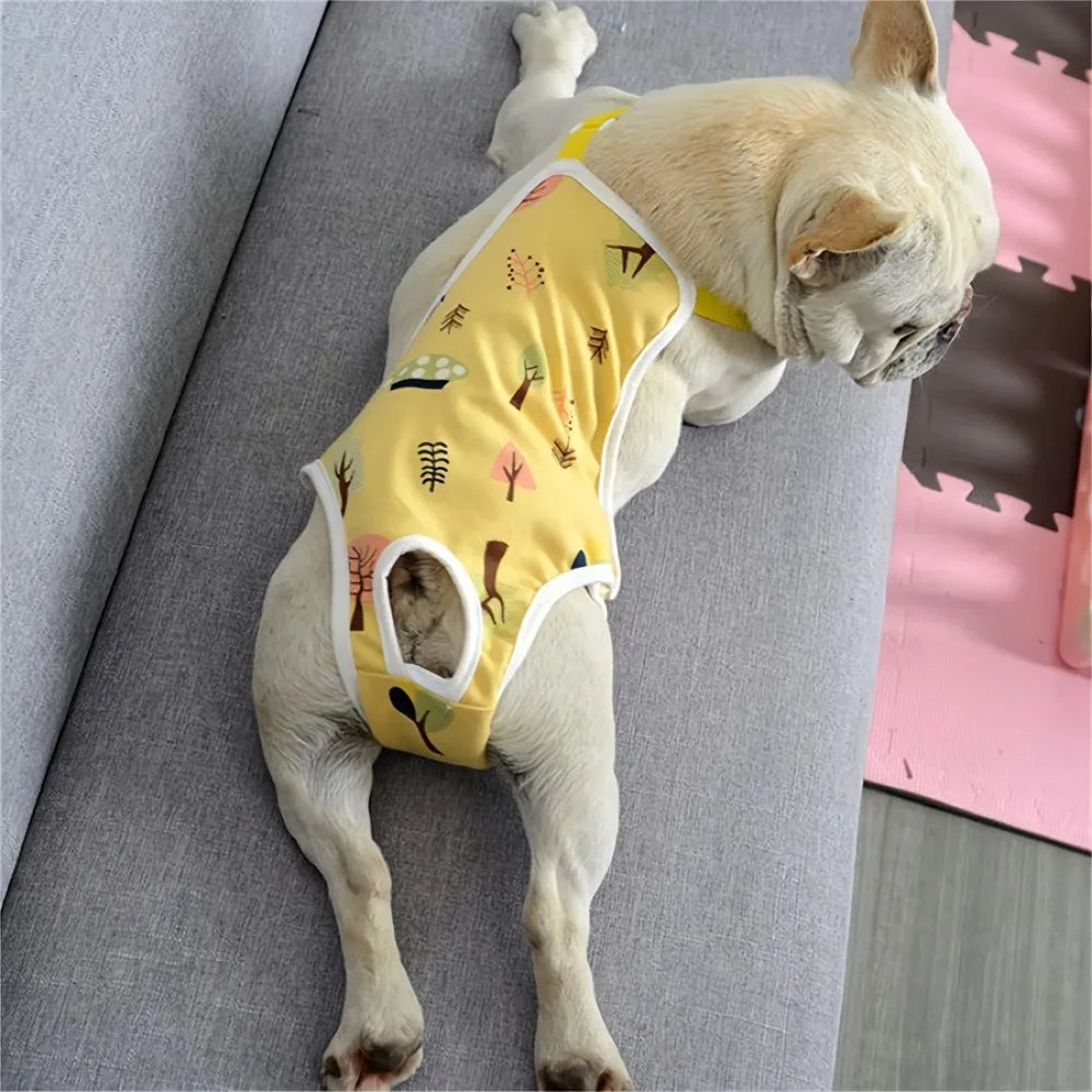 Reusable Female Dog Diapers – Washable, Adjustable & Breathable
