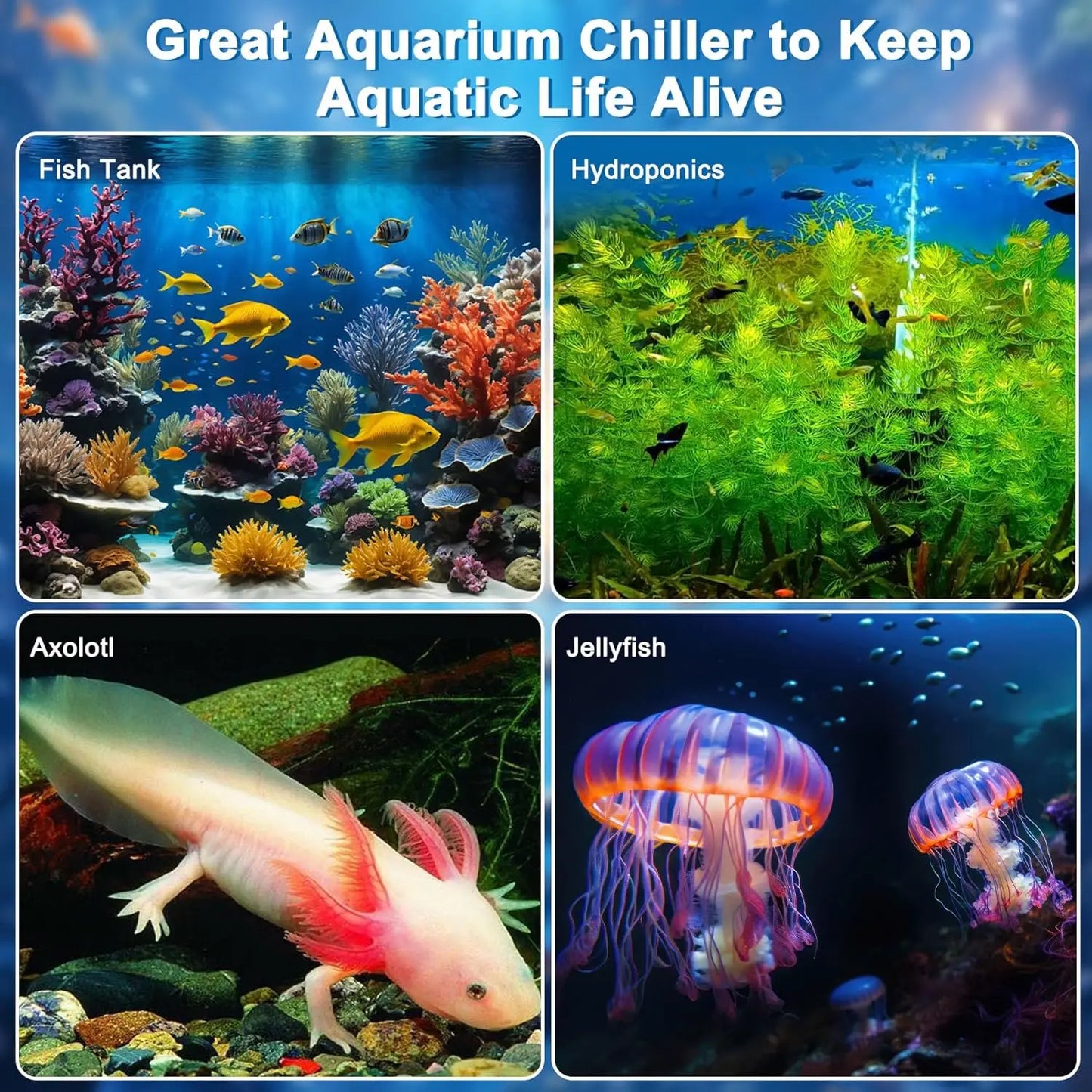Aquarium Water Chiller 1/3HP with Remote Control