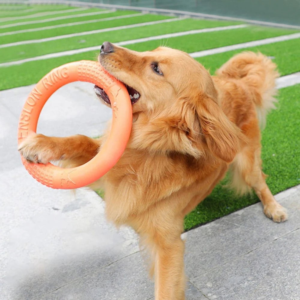 Dog Flying Disk Training Ring Toy
