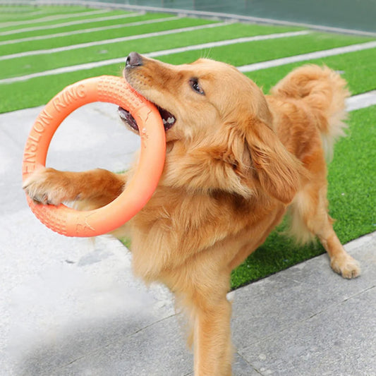 Dog Flying Disk Training Ring Toy