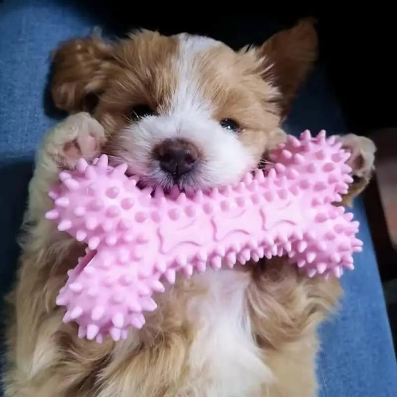Durable Squeaky Dog Chew Toys – TPR Rubber Teething Bones for Aggressive Chewers