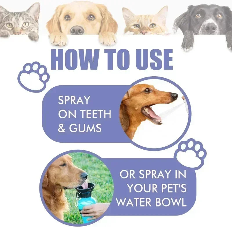Pet Teeth Cleaning Spray – Oral Care for Cats & Dogs | Removes Stains, Whitens & Freshens Breath
