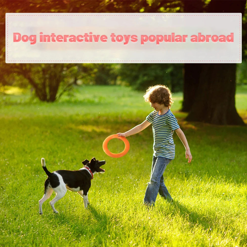 Dog Flying Disk Training Ring Toy