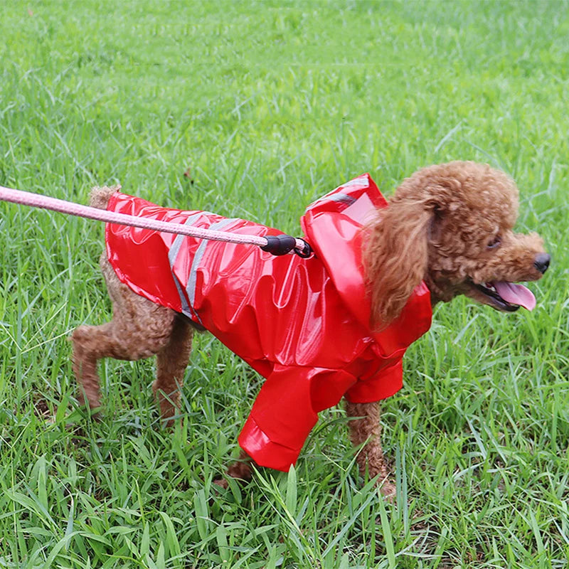 Waterproof Dog & Cat Raincoat – Reflective Hooded Jacket for Small Pets, Sizes S–XL