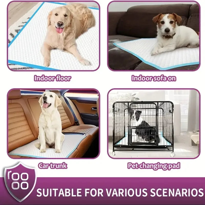 XXL Dog Pee Pads – Super Absorbent, Leak-Proof Training Pads for Dogs