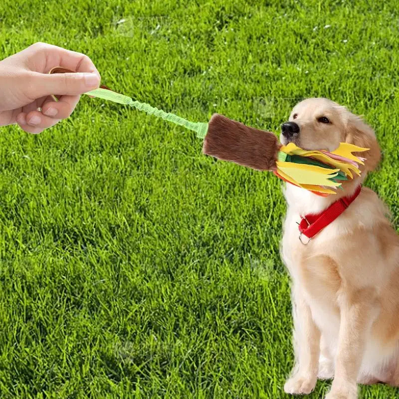 Squeaky Rope Dog Toy – Interactive Chew & Teething Toy with Elastic Drawstring for Puppies & Dogs