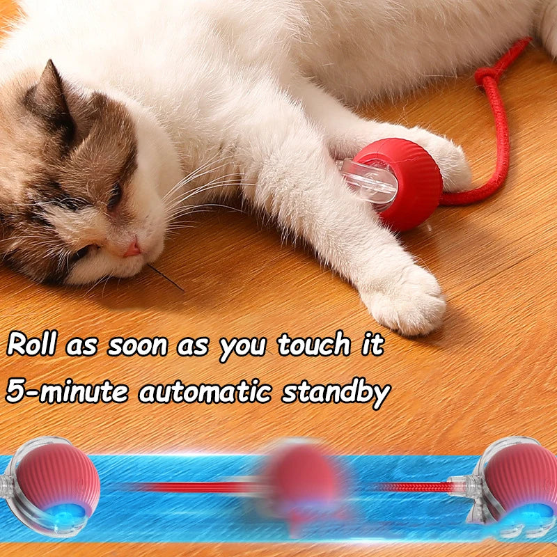 Automatic Rolling Ball Cat Toy – Rechargeable Smart Electric Toy with Faux Tail & Mouse Simulation
