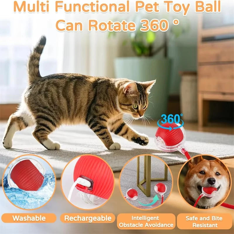 Automatic Rolling Ball Cat Toy – Rechargeable Smart Electric Toy with Faux Tail & Mouse Simulation