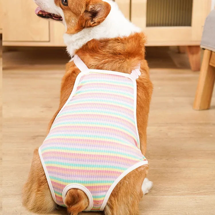 Adjustable Female Dog Physiological Pants – Washable Underwear Shorts for French Bulldogs & Small Breeds