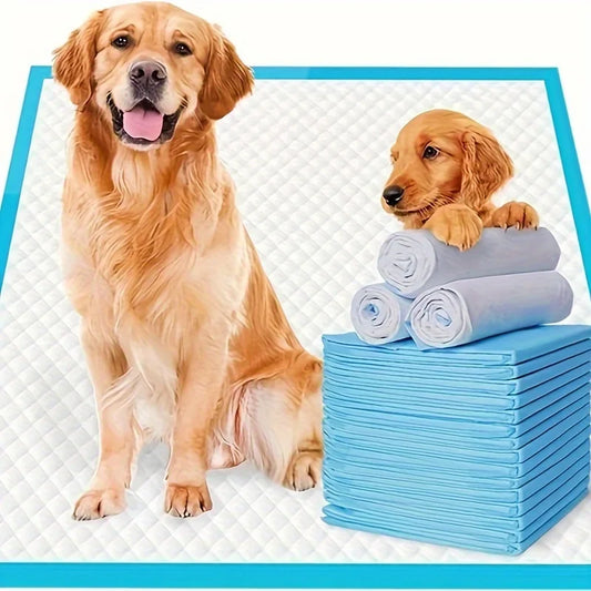 XXL Dog Pee Pads – Super Absorbent, Leak-Proof Training Pads for Dogs