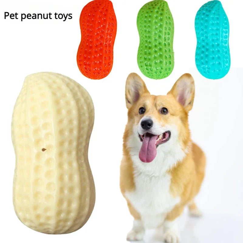Peanut Squeaky Chew Toy
