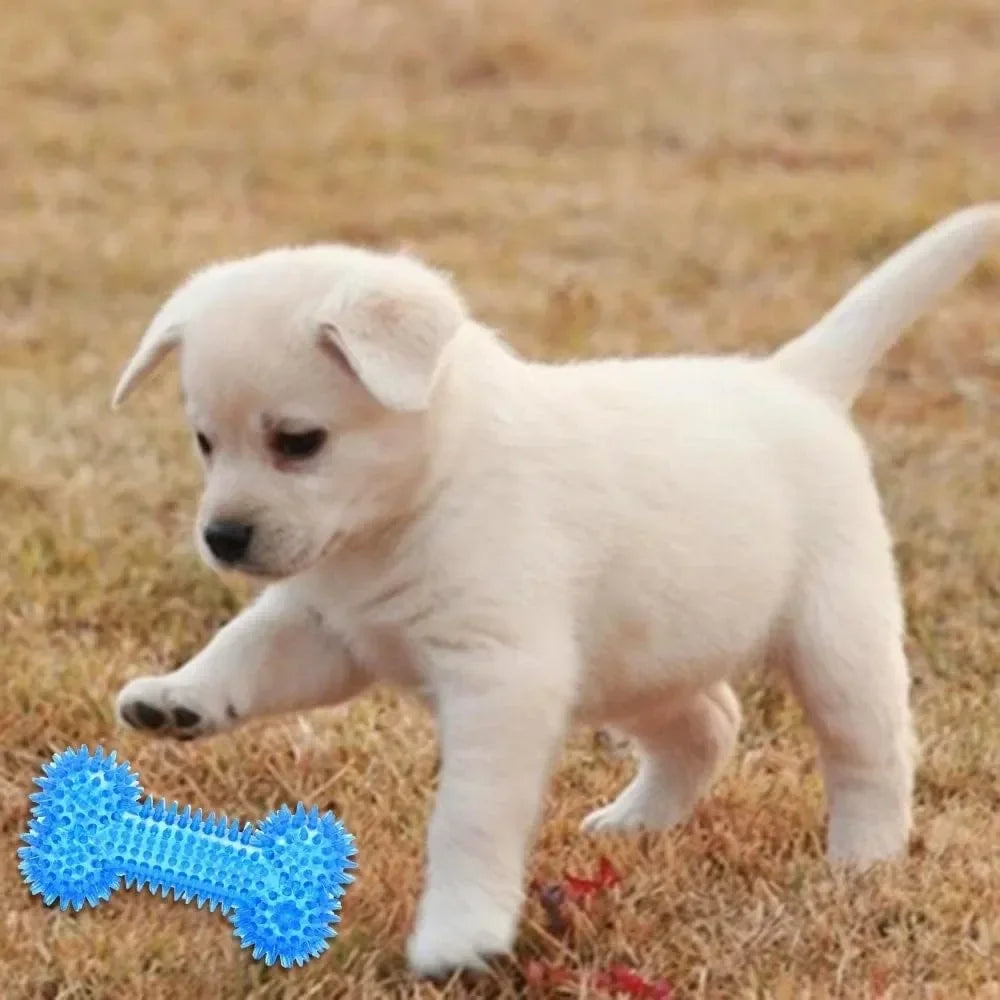 Freezable Dog Chew Toys – Ice Series Teething Balls & Bones for Summer