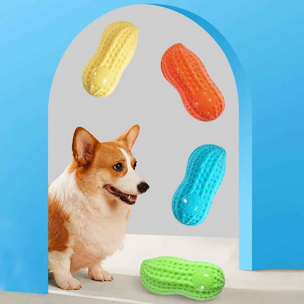 Peanut Squeaky Chew Toy