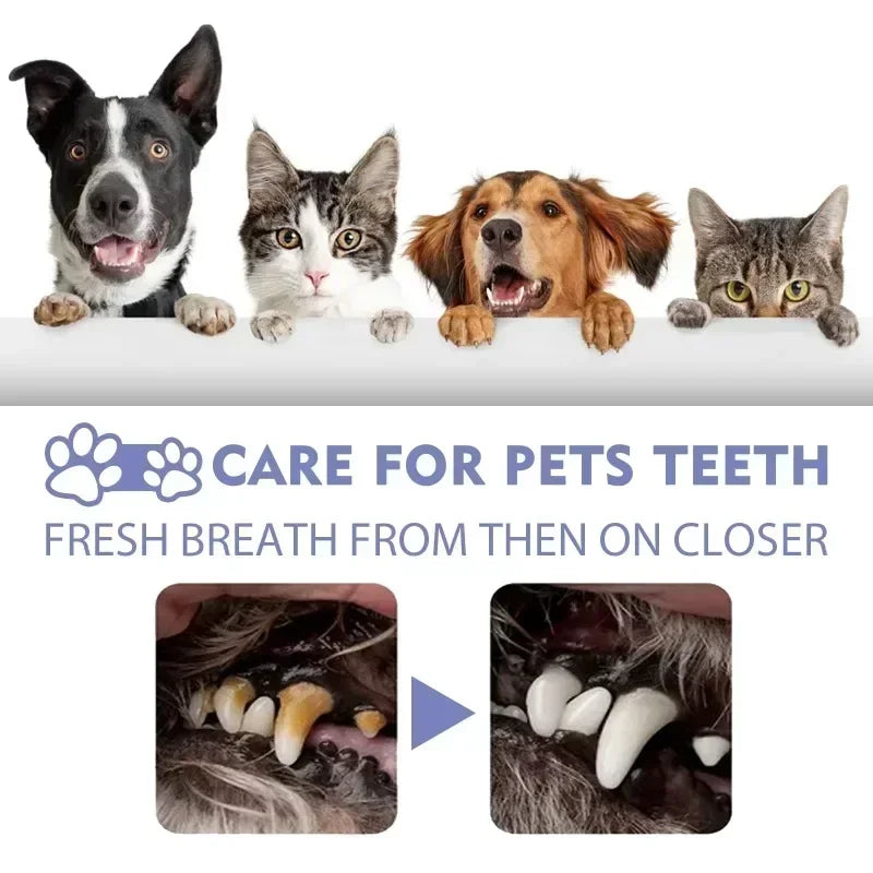 Pet Teeth Cleaning Spray – Oral Care for Cats & Dogs | Removes Stains, Whitens & Freshens Breath