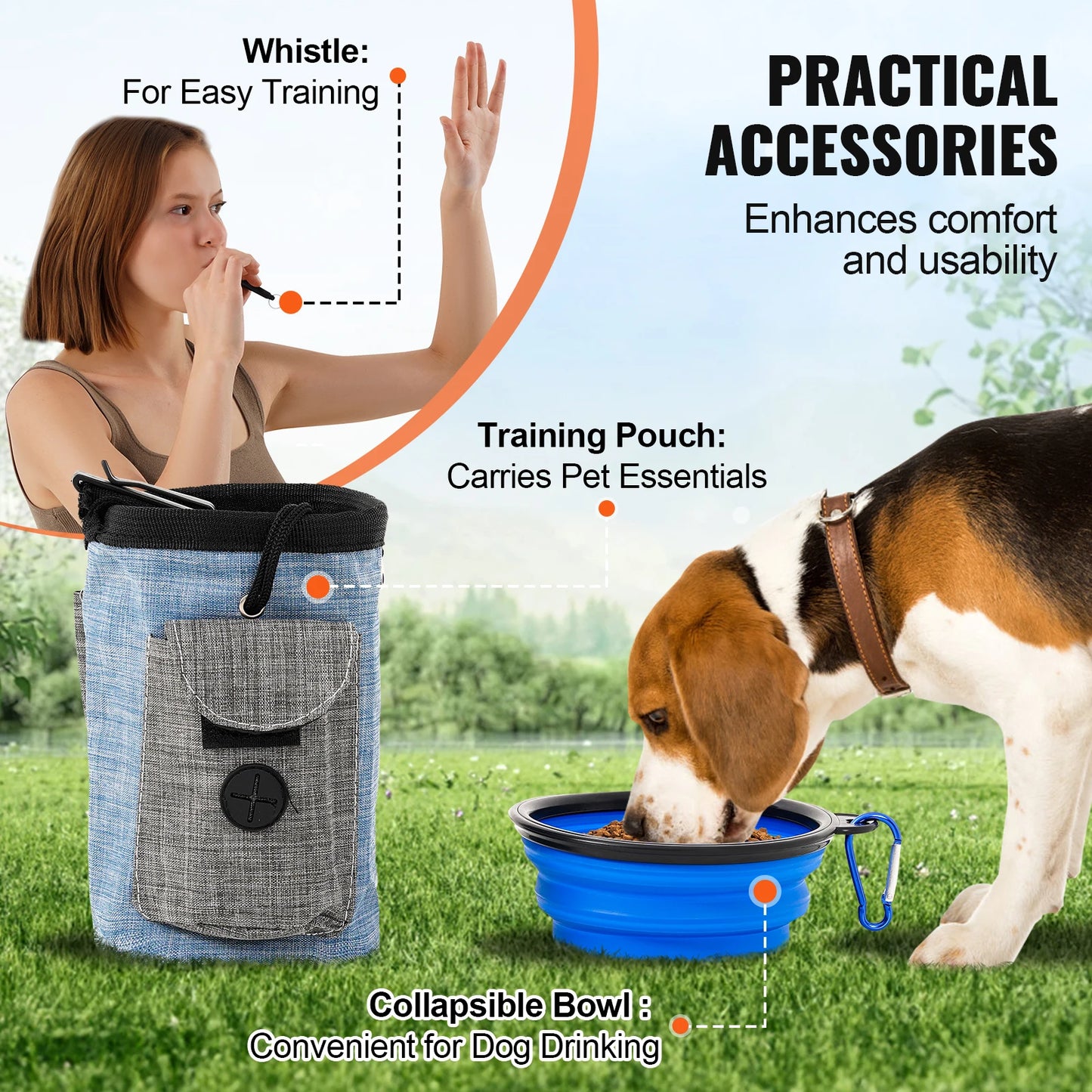 Dog Agility Training Set (5-Piece)