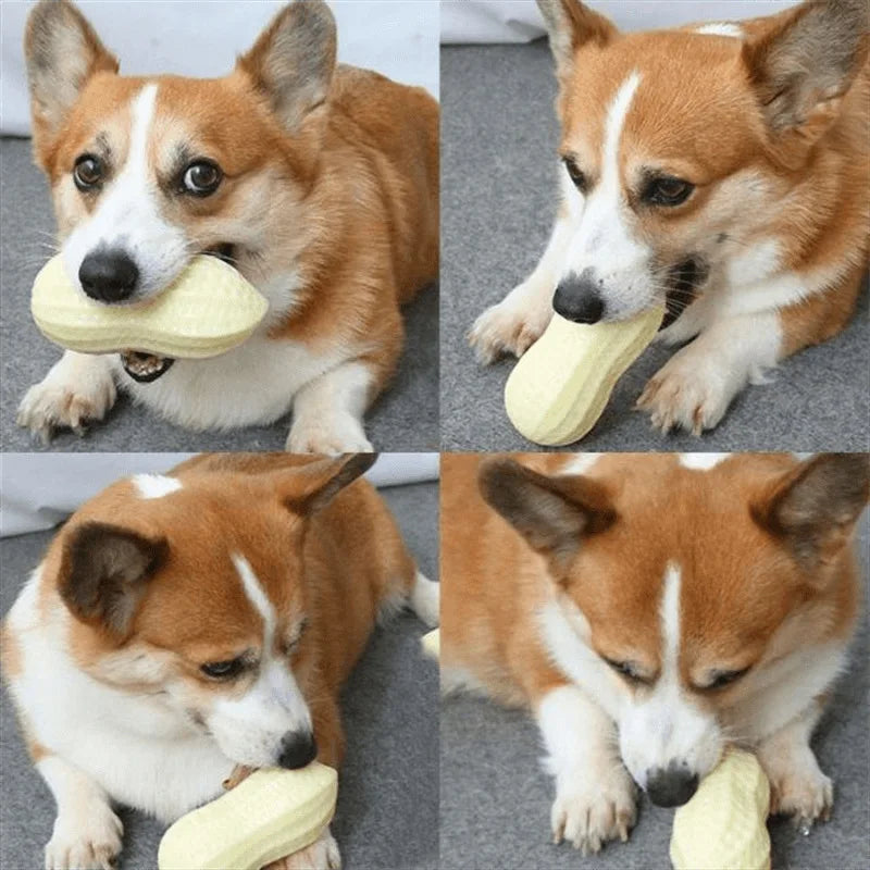 Peanut Squeaky Chew Toy