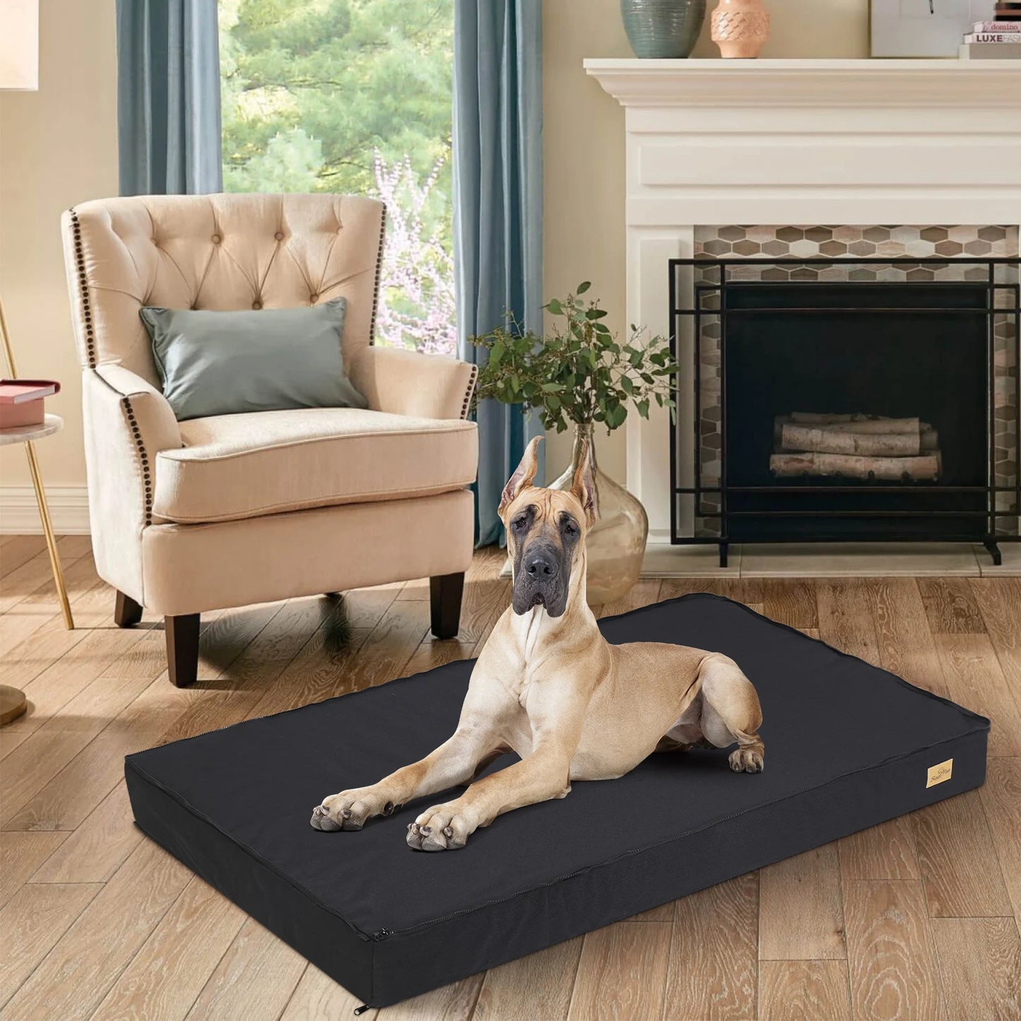 Jumbo Orthopedic Dog Bed with Memory Foam & Washable Cover