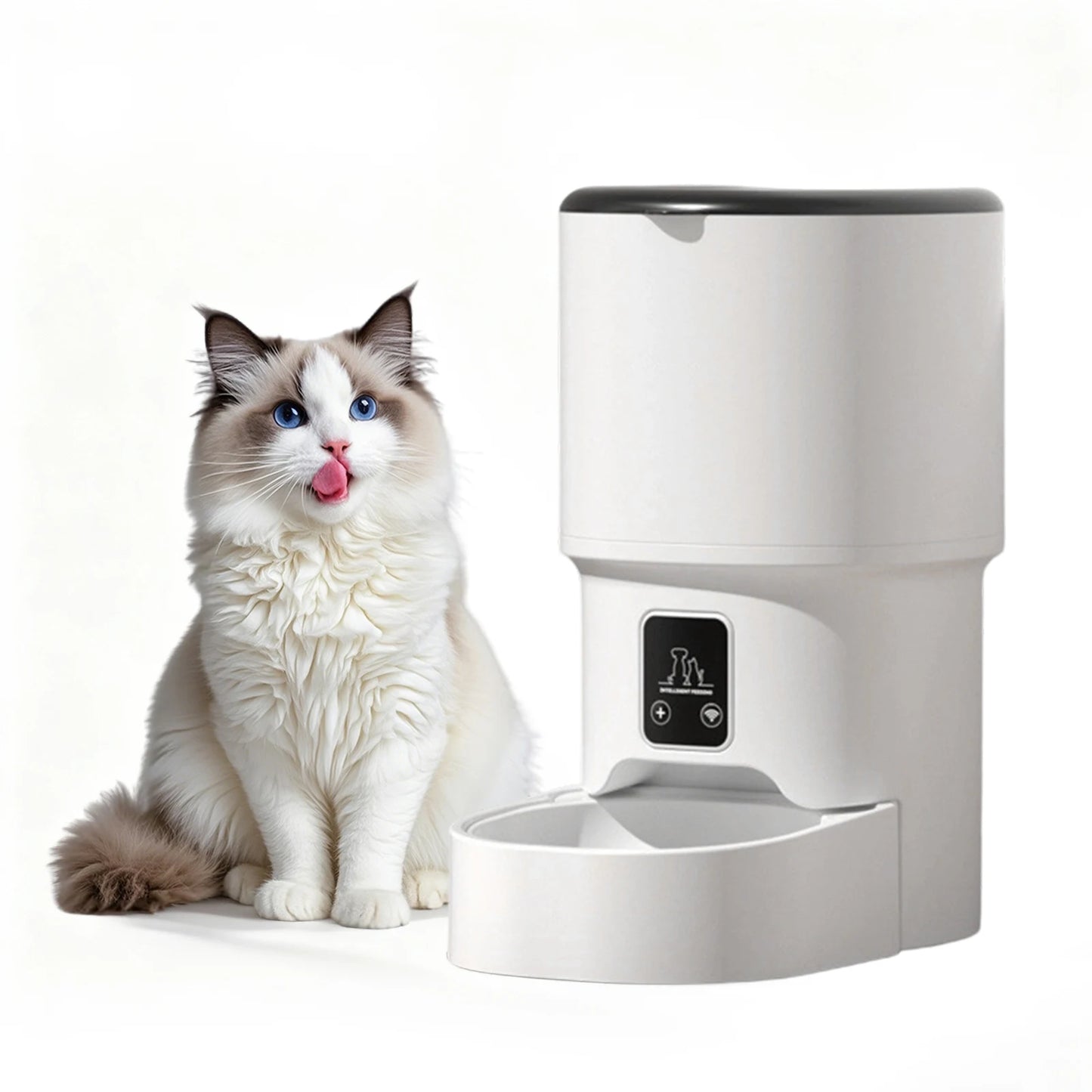 Automatic Pet Feeder – 4L Programmable Dispenser with Timer & Portion Control for Cats & Small Dogs