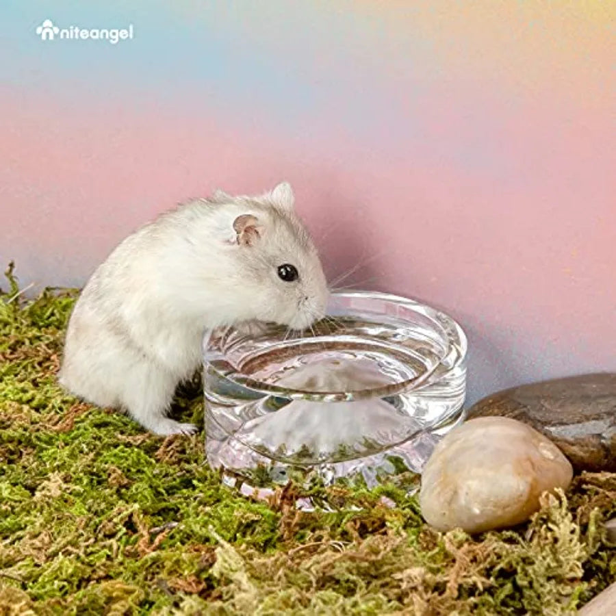 Mount Fuji Glass Hamster Feeding & Water Bowls – Dwarf, Syrian & Small Pets