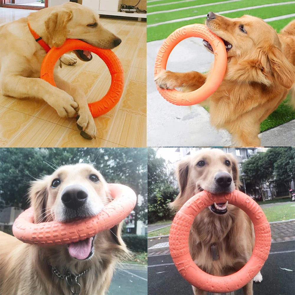 Dog Flying Disk Training Ring Toy
