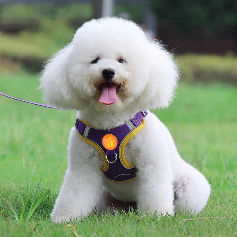 Reflective Mesh Dog Harness