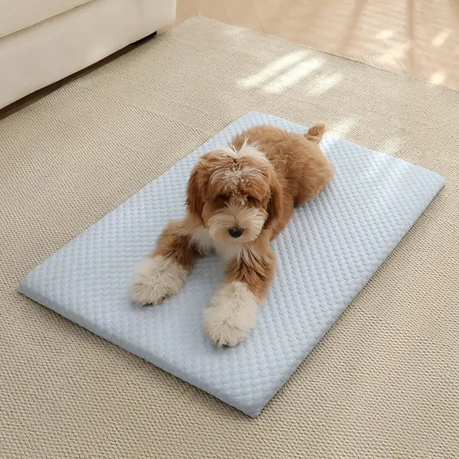 Cooling Sponge Cat & Small Dog Bed – All Seasons