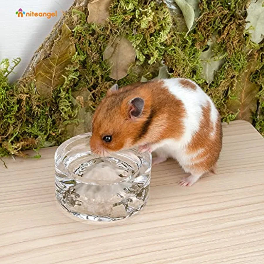 Mount Fuji Glass Hamster Feeding & Water Bowls – Dwarf, Syrian & Small Pets