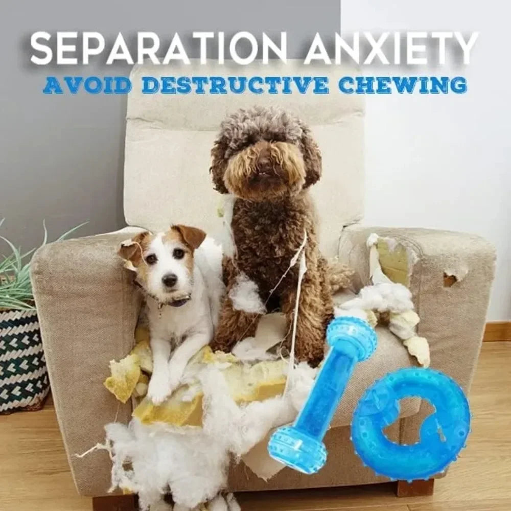 Freezable Dog Chew Toys – Ice Series Teething Balls & Bones for Summer