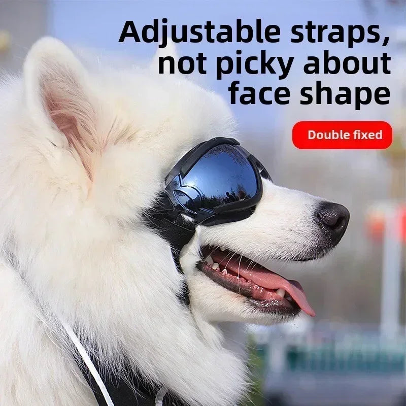 Pet Goggles – UV & Windproof Sunglasses for Dogs | Outdoor Eye Protection for All Breeds