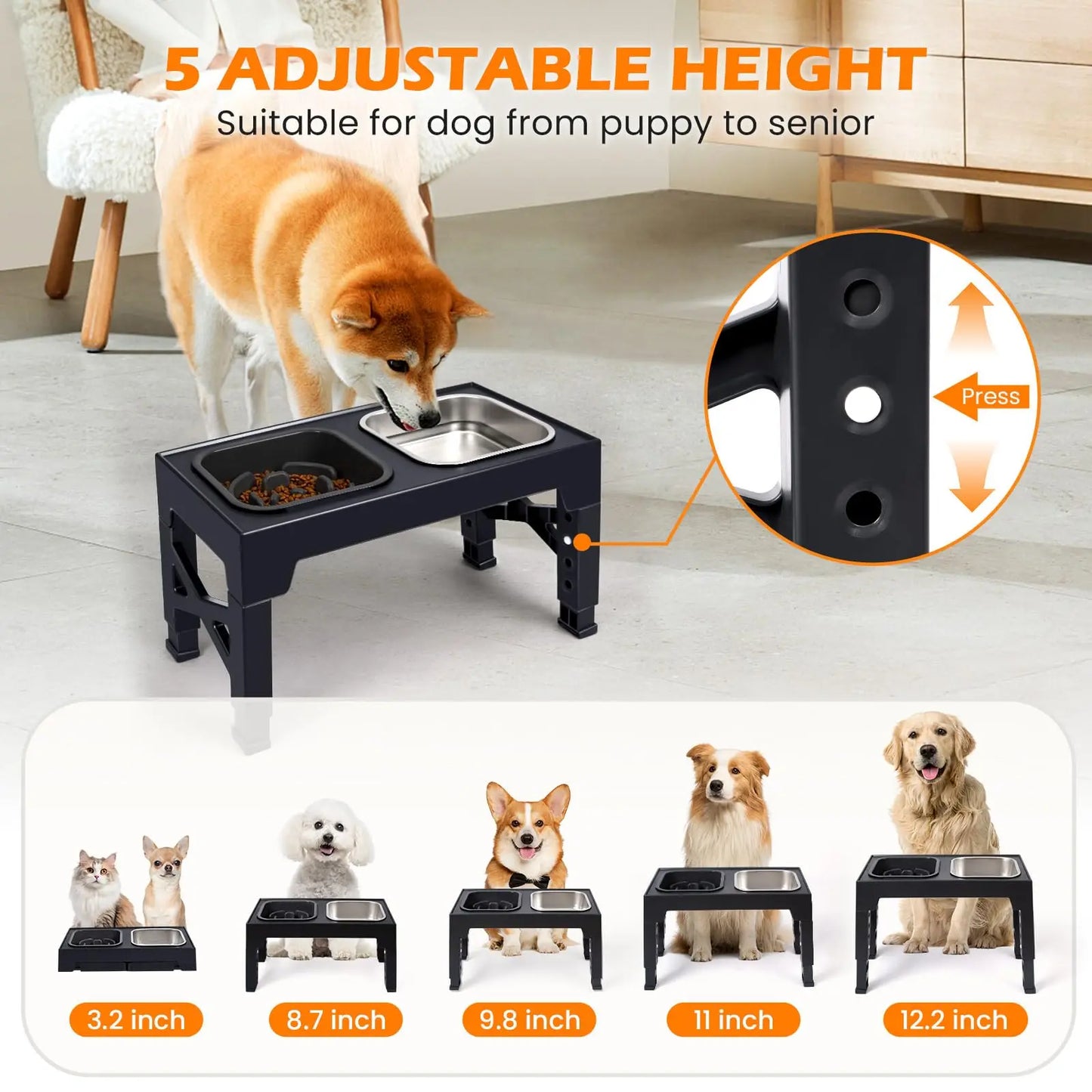 Elevated Slow Feeder Dog Bowls with Foldable Stand