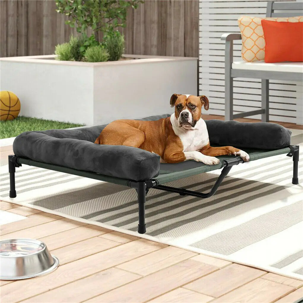 Elevated Pet Lounger Bed with Plush Bolster