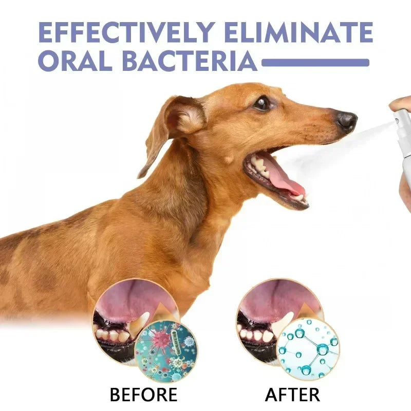 Pet Teeth Cleaning Spray – Oral Care for Cats & Dogs | Removes Stains, Whitens & Freshens Breath