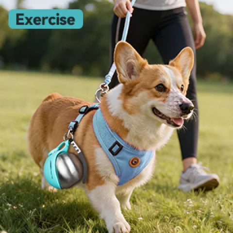 Portable Stainless Steel Pet Travel Water Bottle with Bowl