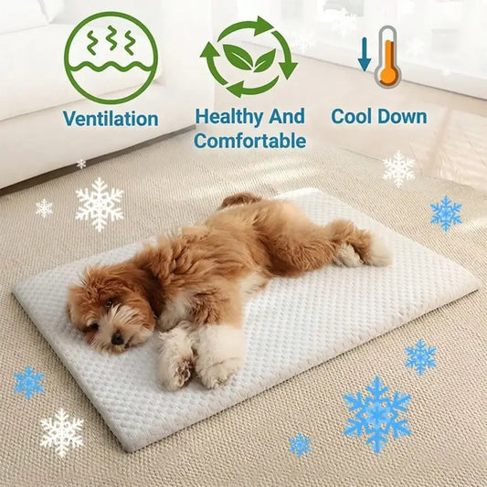 Cooling Sponge Cat & Small Dog Bed – All Seasons