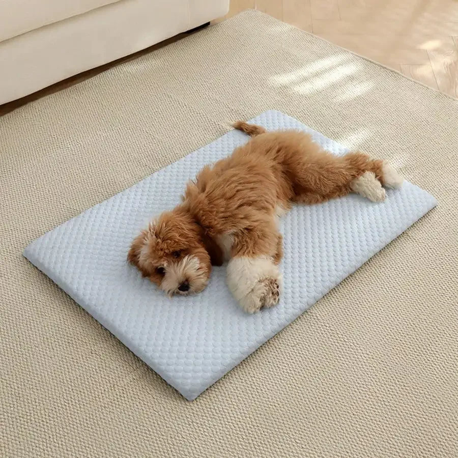 Cooling Sponge Cat & Small Dog Bed – All Seasons