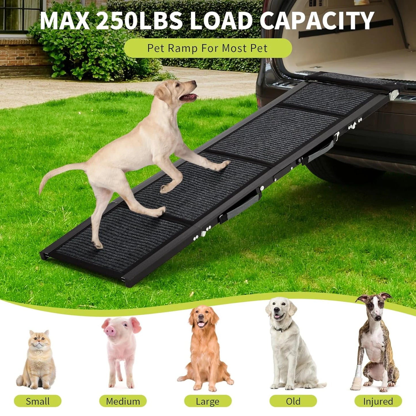 Folding Dog Car Ramp – Non-Slip Portable Pet Ramp for Large Dogs Up to 250 lbs
