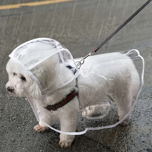 Transparent Waterproof Dog Raincoat – Clear Rain Jacket for Small & Medium Dogs | Teddy, Bichon Frise & More
