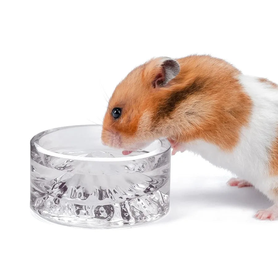 Mount Fuji Glass Hamster Feeding & Water Bowls – Dwarf, Syrian & Small Pets