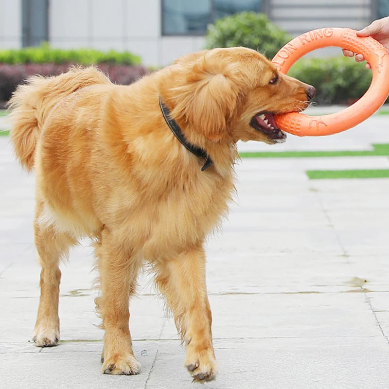 Dog Flying Disk Training Ring Toy