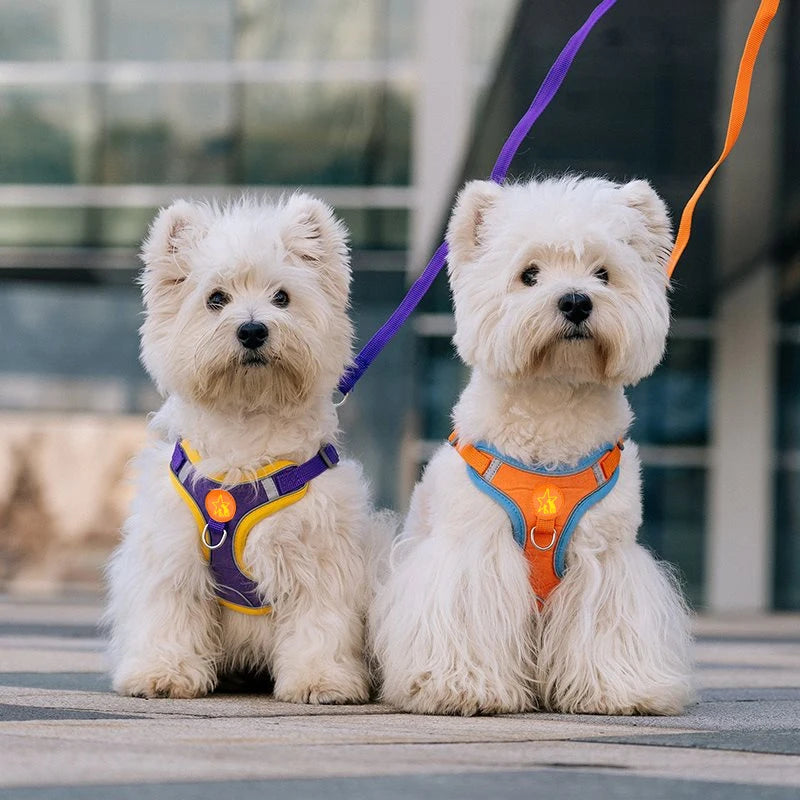 Reflective Mesh Dog Harness