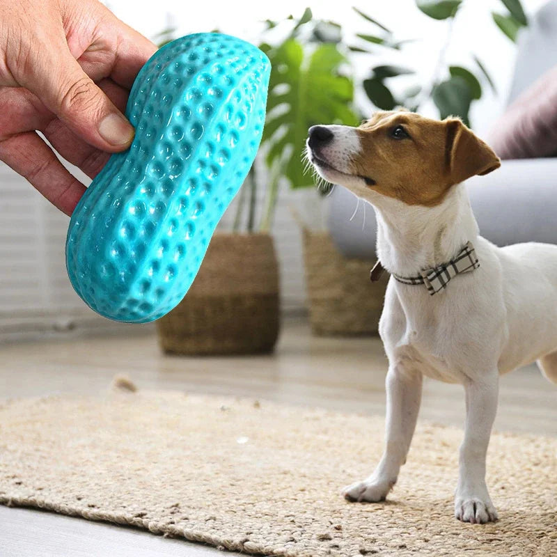 Peanut Squeaky Chew Toy
