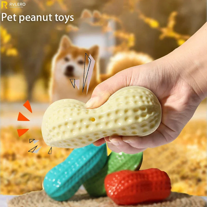 Peanut Squeaky Chew Toy
