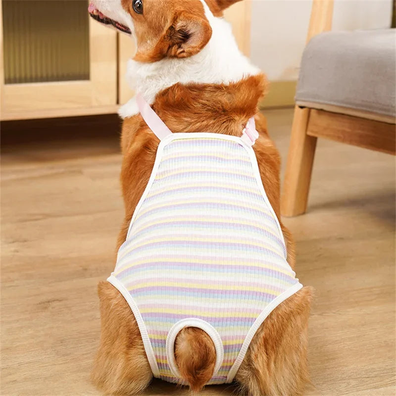 Adjustable Female Dog Physiological Pants – Washable Underwear Shorts for French Bulldogs & Small Breeds