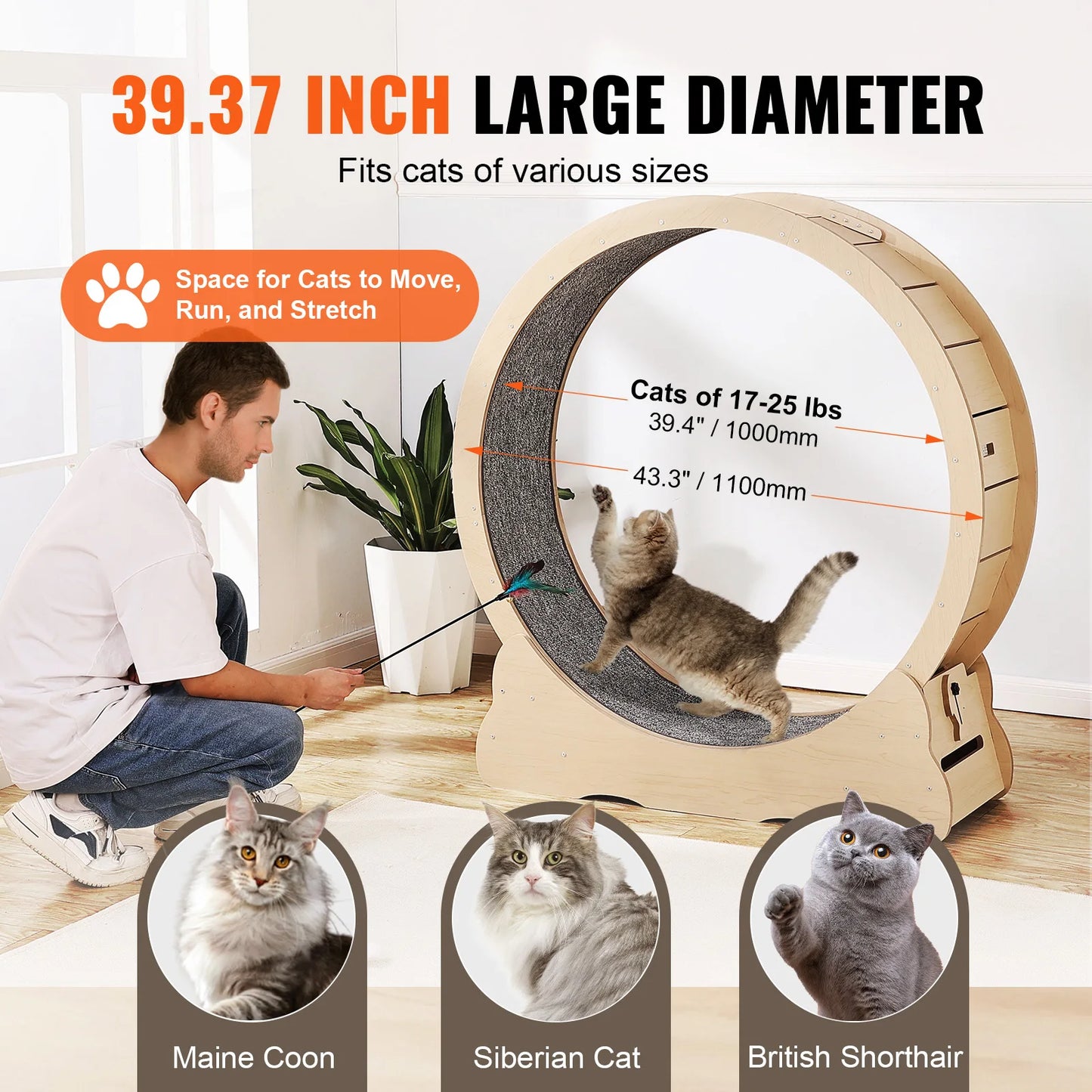 Wooden Cat Exercise Wheel with Cat Teaser
