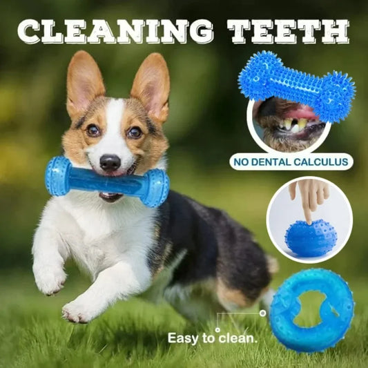 Freezable Dog Chew Toys – Ice Series Teething Balls & Bones for Summer