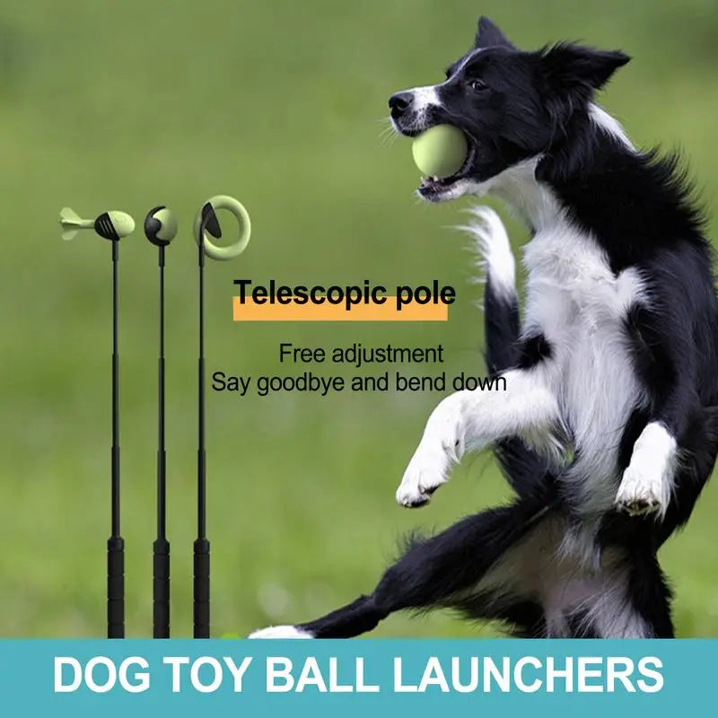 Dog Ball Launcher Stick – Outdoor Fetch & Training Toy for Dogs