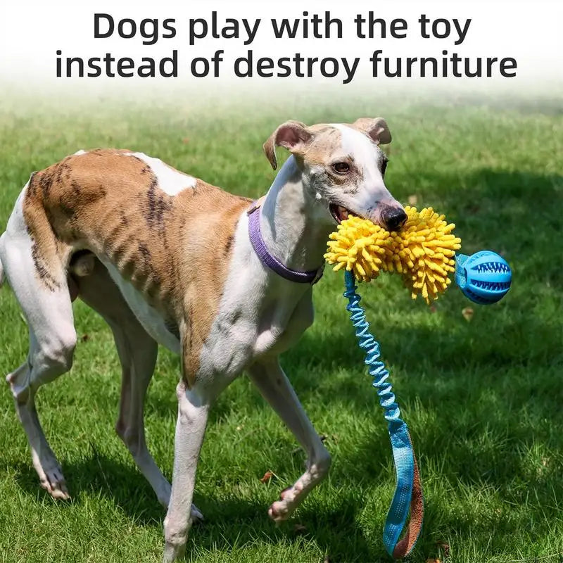 Squeaky Rope Dog Toy – Interactive Chew & Teething Toy with Elastic Drawstring for Puppies & Dogs