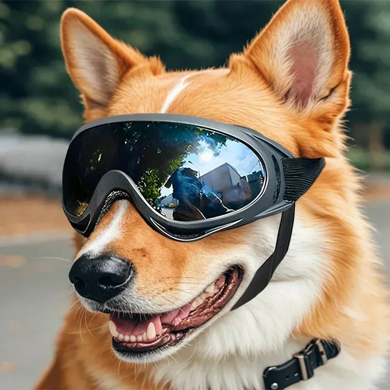 Pet Goggles – UV & Windproof Sunglasses for Dogs | Outdoor Eye Protection for All Breeds