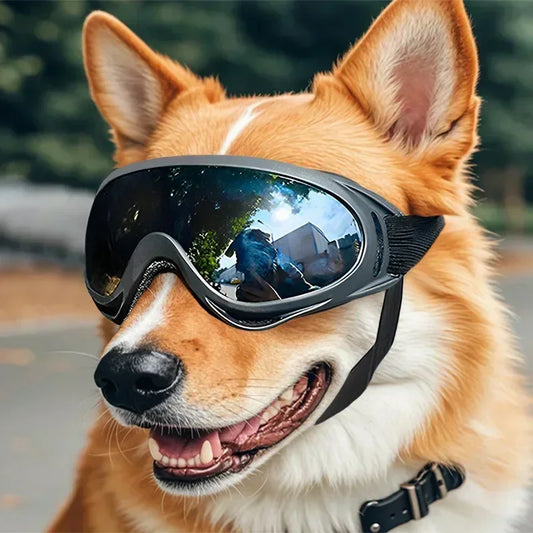 Pet Goggles – UV & Windproof Sunglasses for Dogs | Outdoor Eye Protection for All Breeds